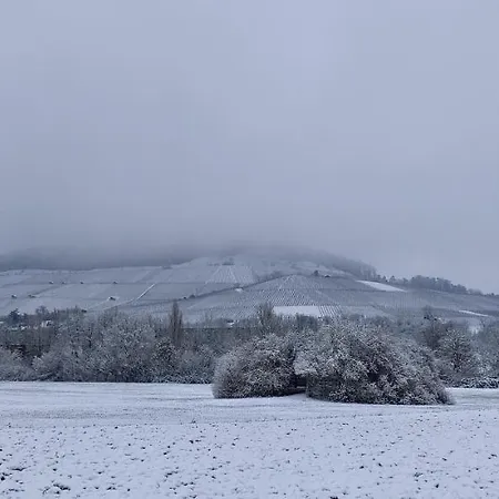 Kerstin Grambow Apartment *