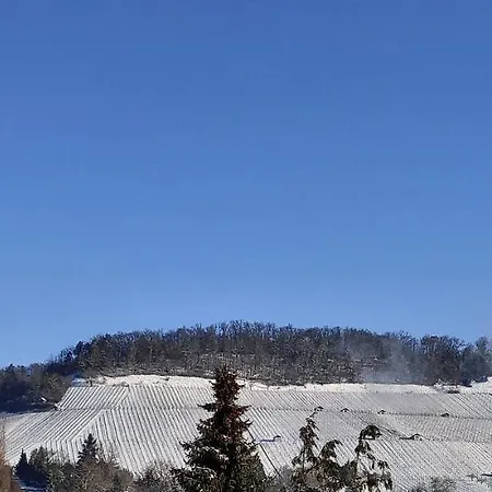 Apartamento Kerstin Grambow Vaihingen an der Enz